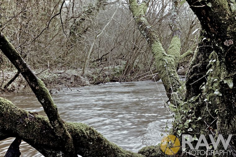 The River Cleddau © Matthew Kelly www.rawphotography.me.uk